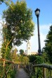 Foto n 2. Passeggiata nel parco