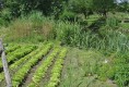biodiversitA 